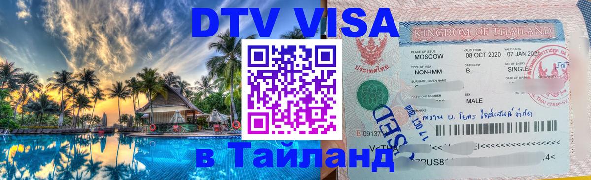 Сколько стоит DTV виза — актуальные цены, оформление даже без документов - Дербент 